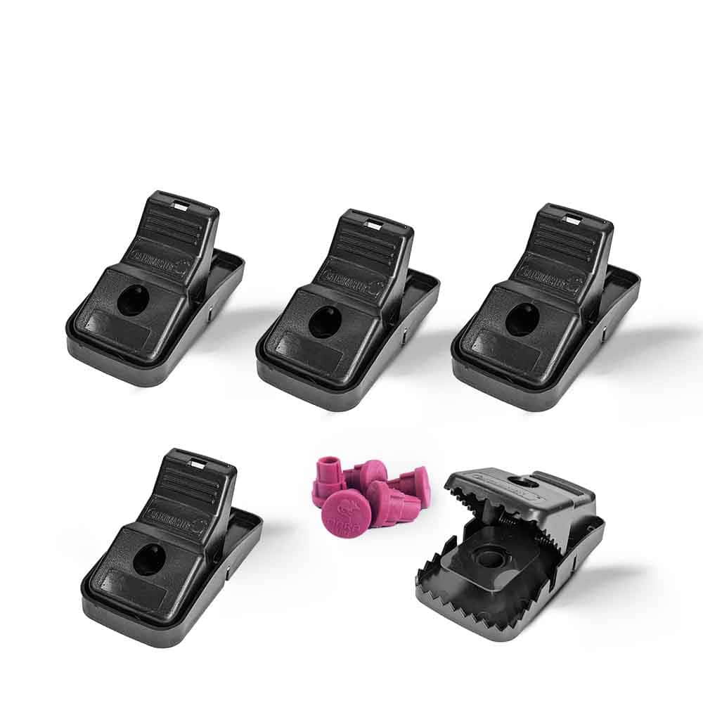 Kit tapettes anti souris