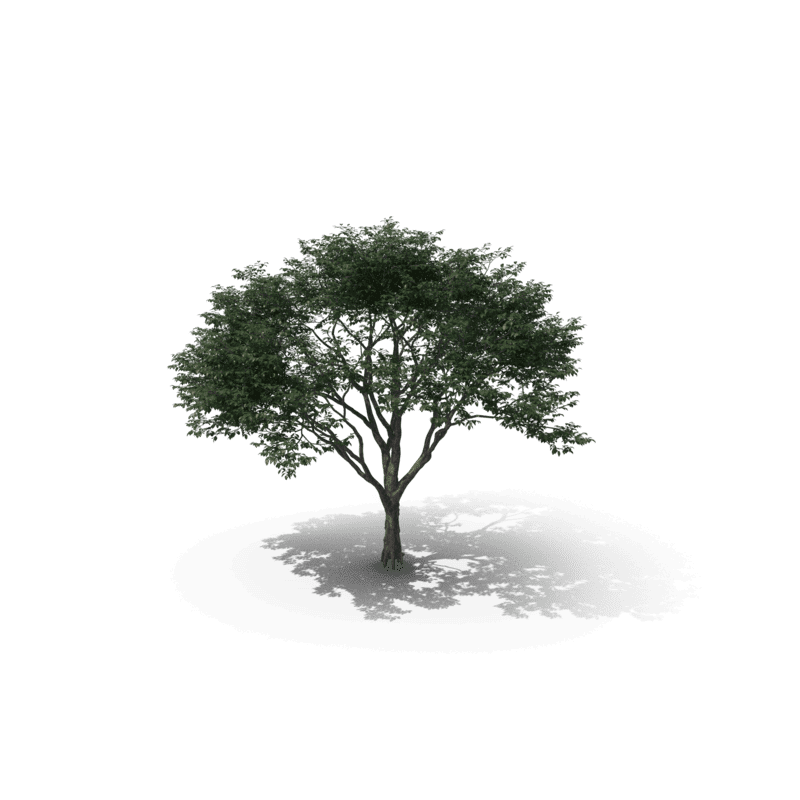 5 étapes pour une maison sans nuisibles au printemps