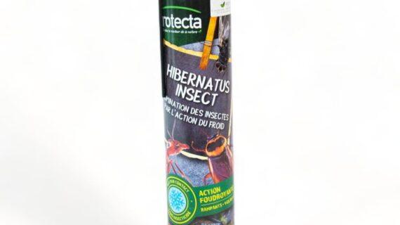 Maison Aurouze Protecta Hibernatus fermé