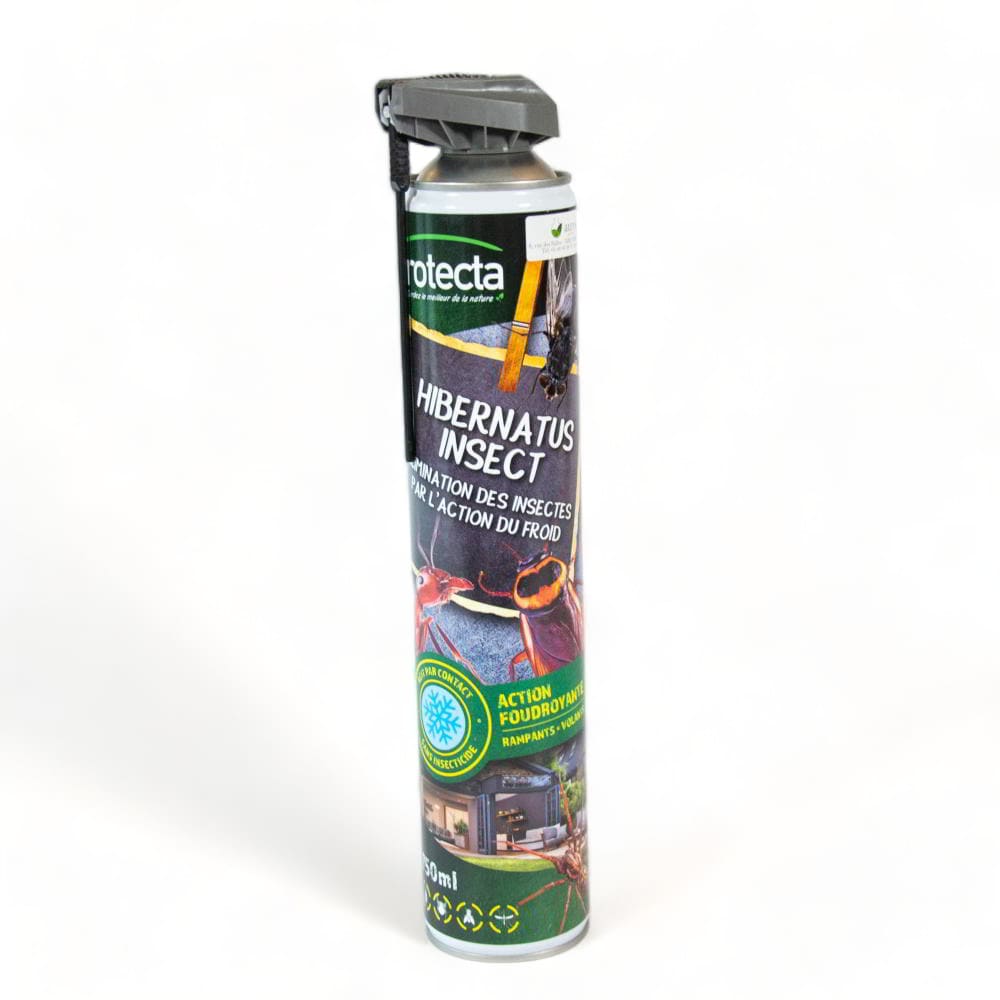 Maison Aurouze Protecta Hibernatus fermé