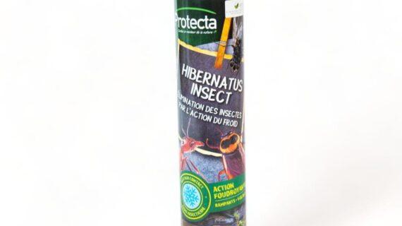 Maison Aurouze Protecta Hibernatus ouvert