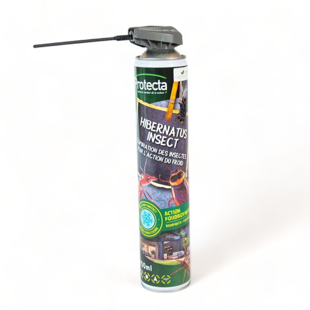 Maison Aurouze Protecta Hibernatus ouvert