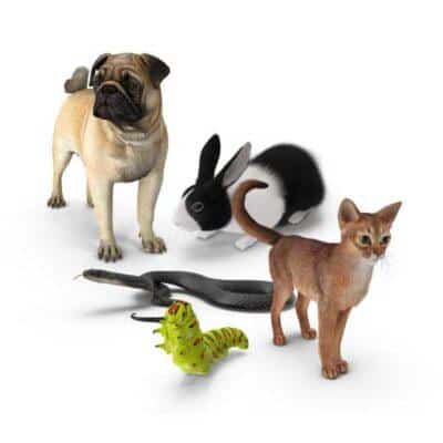 Maison Aurouze catégorie anti-nuisibles divers