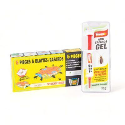 Maison Aurouze-Pack prévention blattes cafards 2