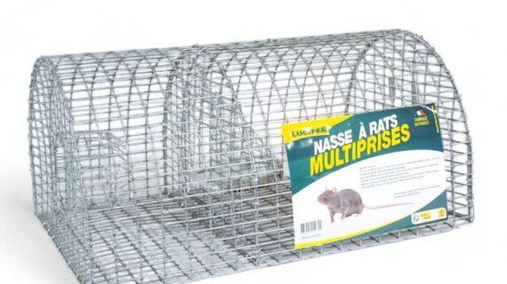 Maison Aurouze nasse a rats multiprises