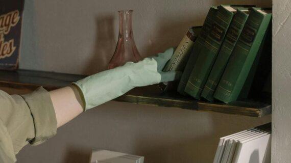 Nettoyage fin d'été nuisibles