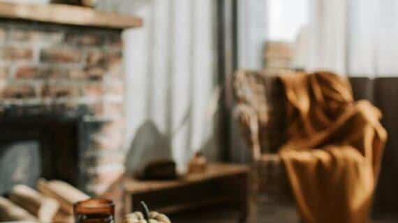 déco cocooning nuisibles