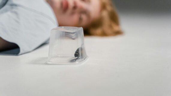 Les pièges naturels faits maison efficaces