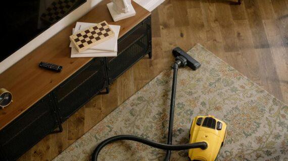 Nouvelles résolutions 2025 pour un logement sans nuisibles