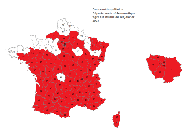 carte implantation moustique tigre